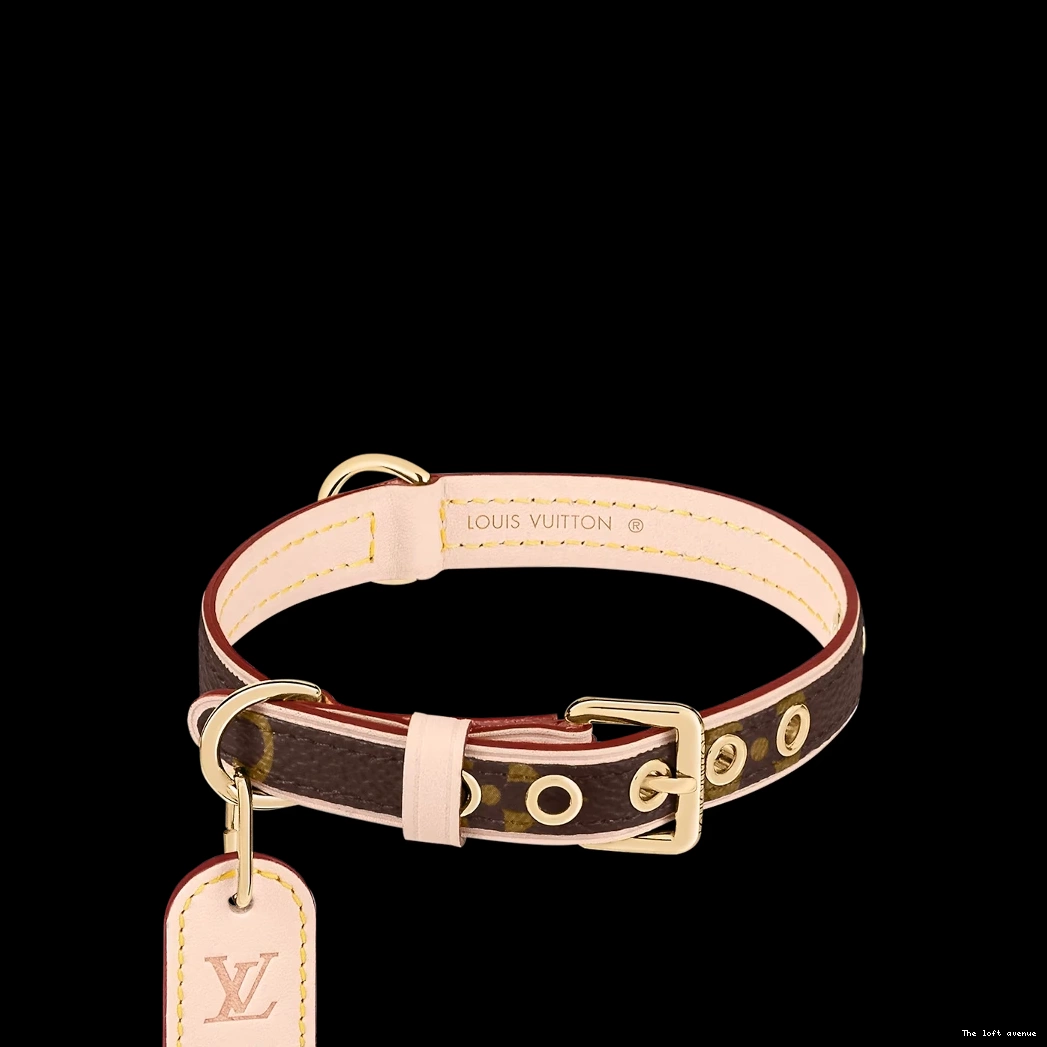 LEASH COLLAR DOG LV AND 0728